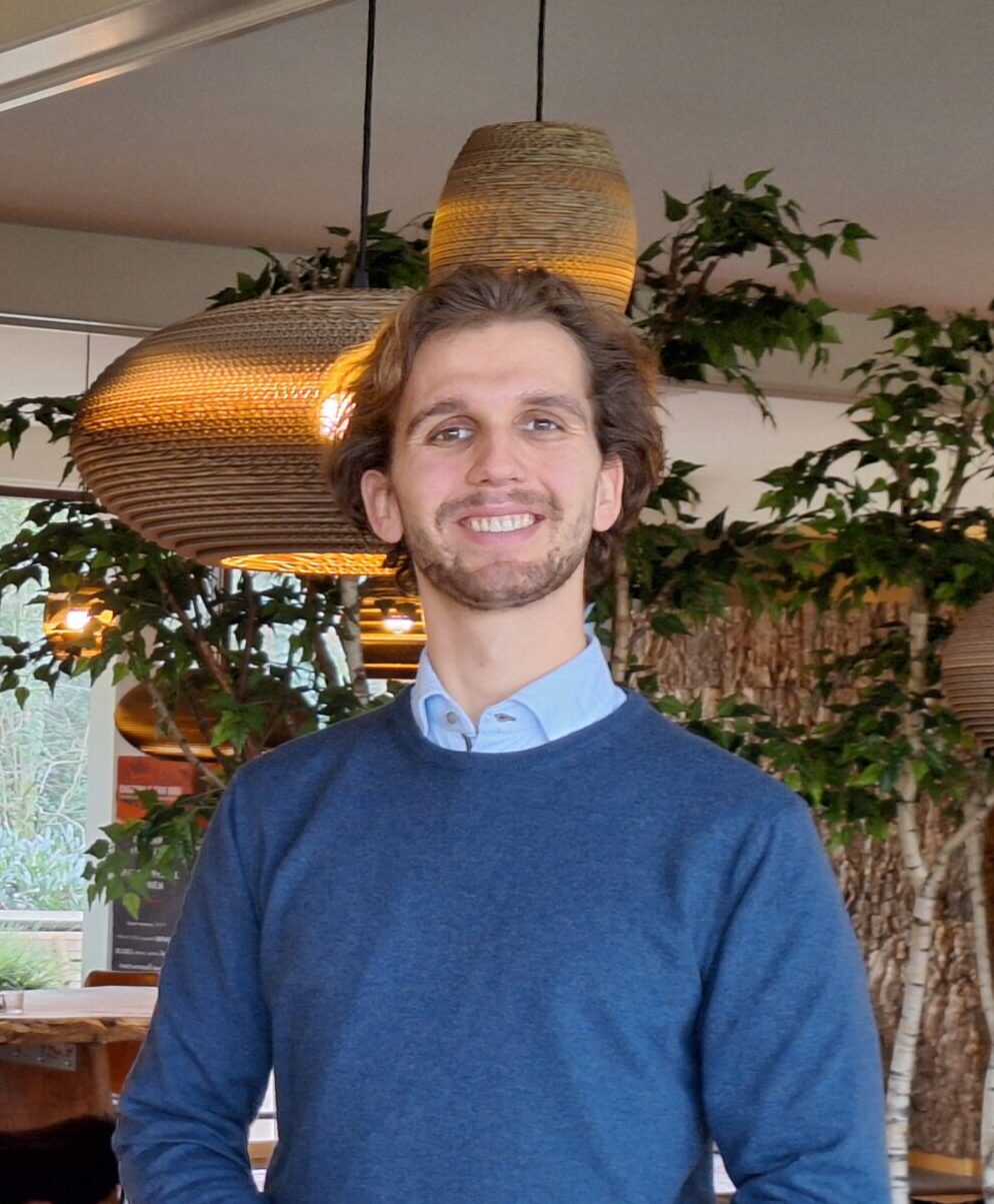 mobile image