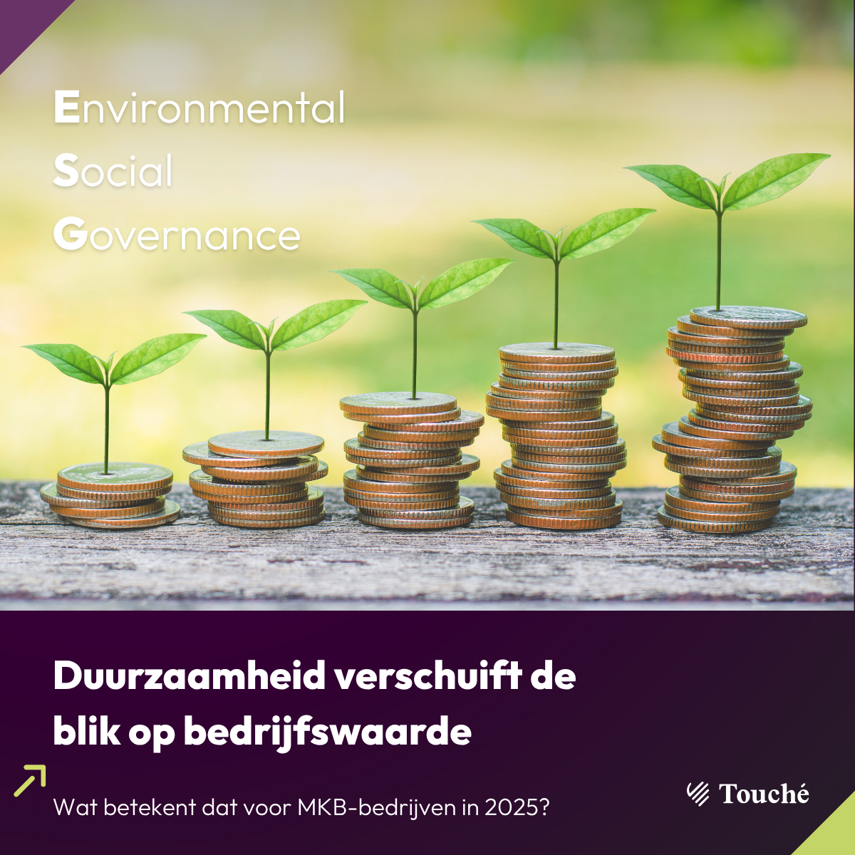 ESG in M&A 2025: duurzaamheid als factor voor waardering en overnames